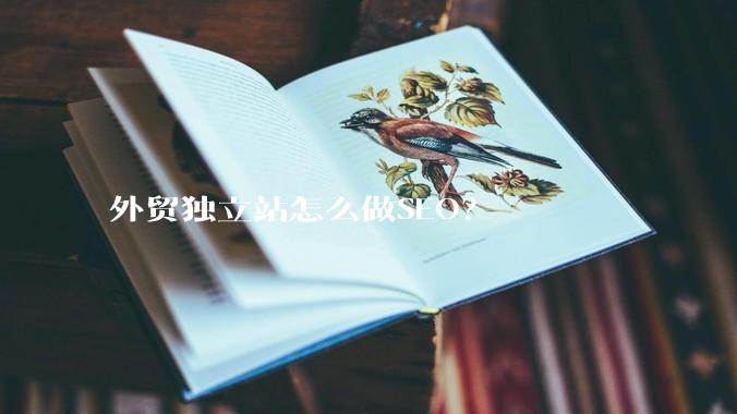 外贸独立站怎么做SEO？