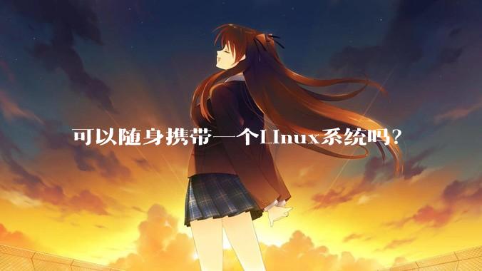 可以随身携带一个Linux系统吗？