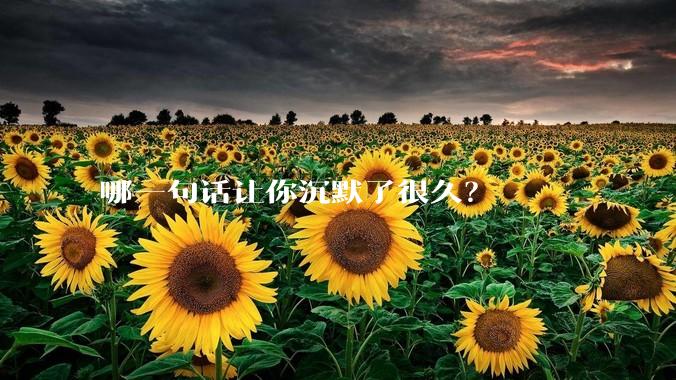 哪一句话让你沉默了很久？